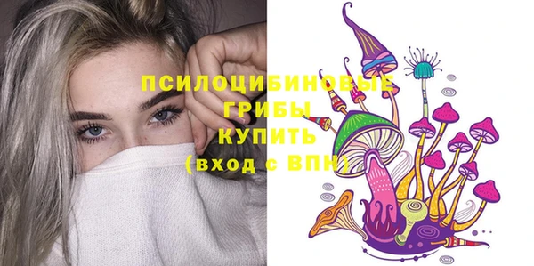 стафф Алексин