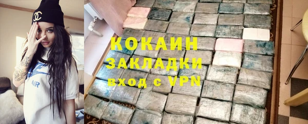 стафф Алексин