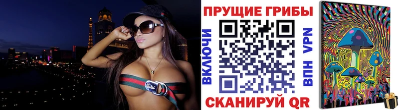 Галлюциногенные грибы MAGIC MUSHROOMS  где купить наркоту  Аргун 
