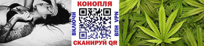 Бошки Шишки SATIVA & INDICA  shop наркотические препараты  Аргун 